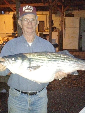 Lakes Fishing