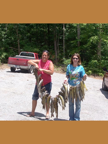 Lakes Fishing