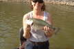 Lakes Fishing