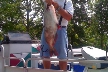 Lakes Fishing